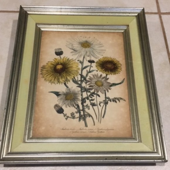 1840 Antique Botanical Yellow Print Framed by Jane Loudon Hand Colored Victorian - Picture 2 of 11